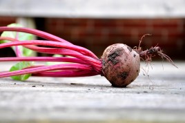 Raw Beet