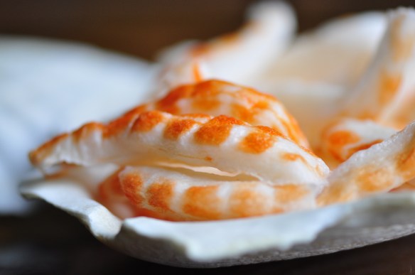 Uncooked Vegan Shrimp