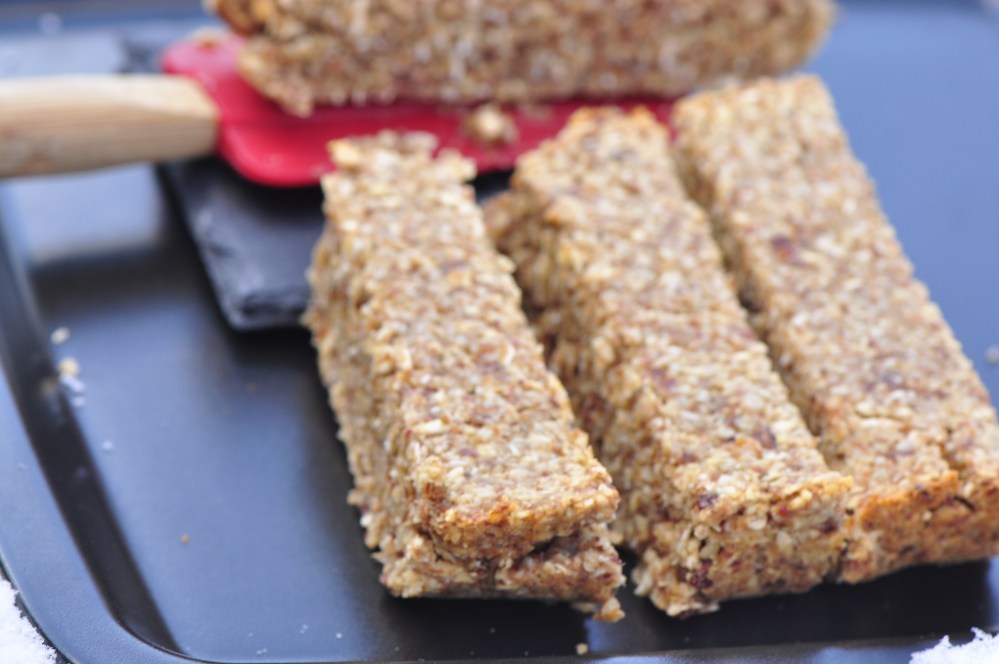 Vegan Medjool Date Bars