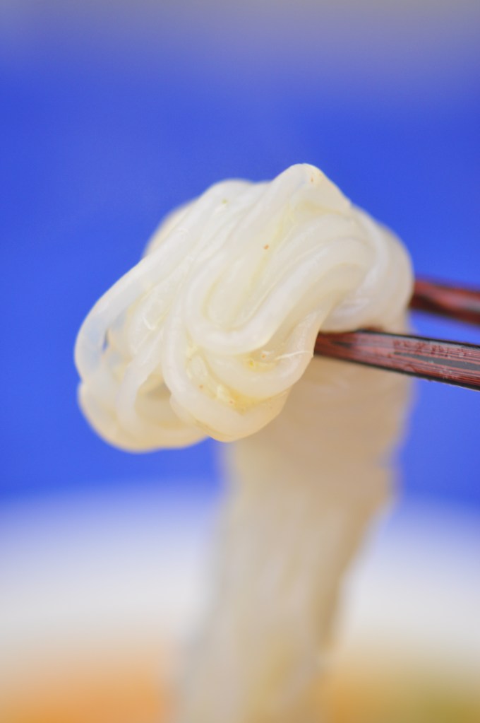 This is what a konjac noodle looks like.
