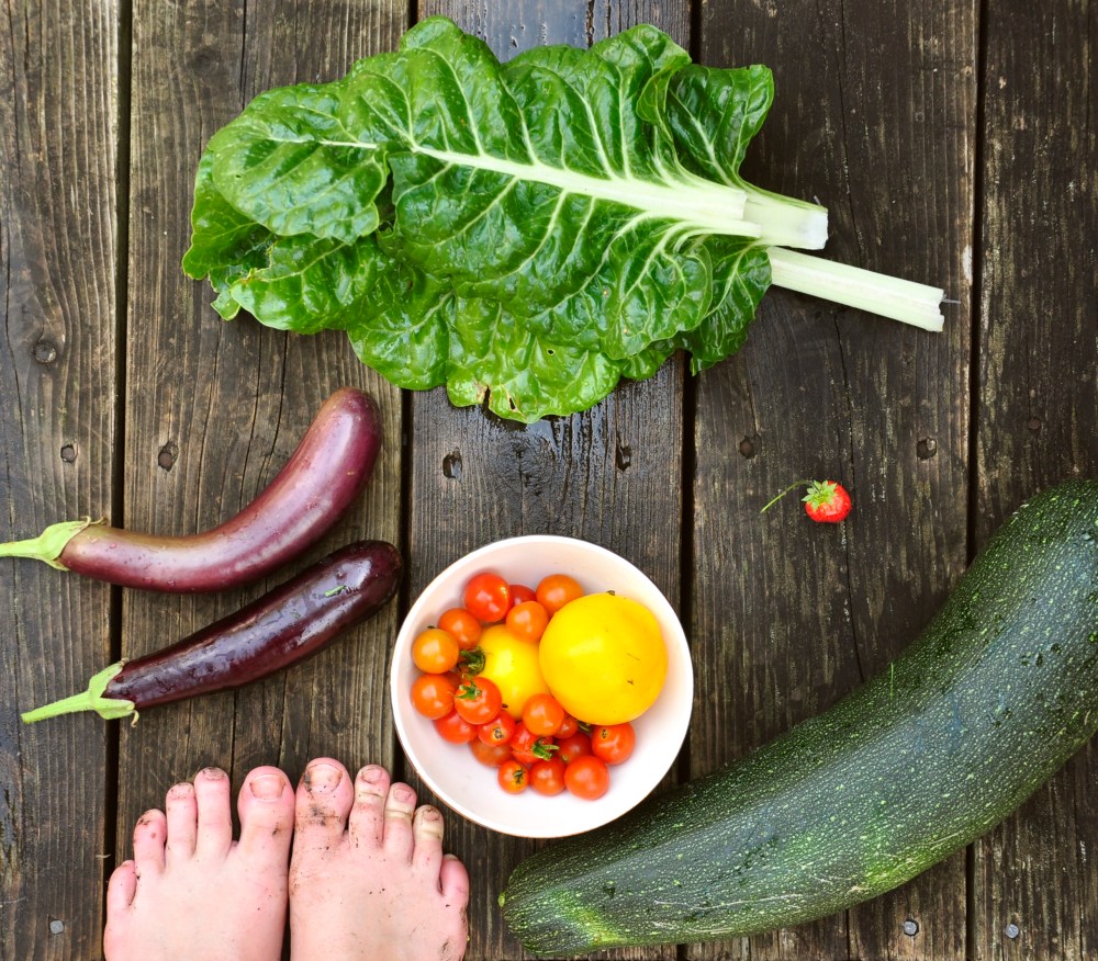 Vegetable Garden August 2015
